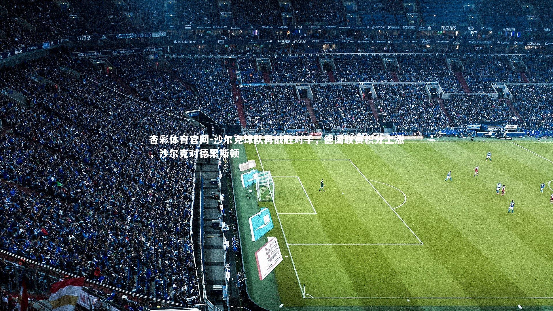 沙尔克球队再战胜对手，德国联赛积分上涨，沙尔克对德累斯顿